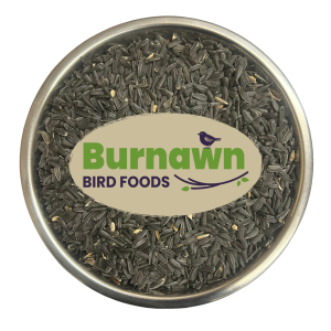 Gibb of Galston, Black Sunflower