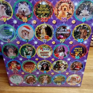 Antos Doggy Christmas Advent Calendar
