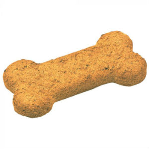 big bone shaped dog biscuit