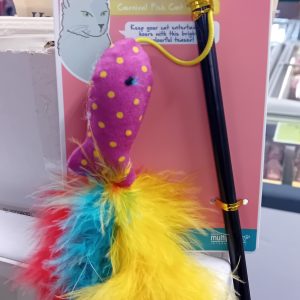Carnival Fish Cat Teaser
