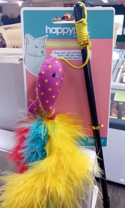 Carnival Fish Cat Teaser