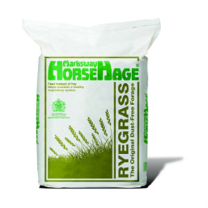 Bag of HorseHage rye grass