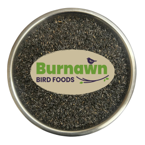 Gibb of Galston Nyjer Seed