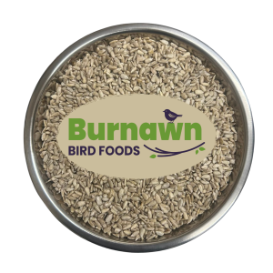 Gibb of Galston Sunflower Hearts