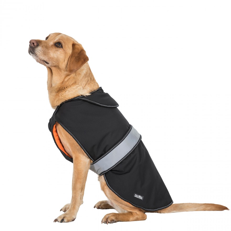 Trespaws sales dog coat