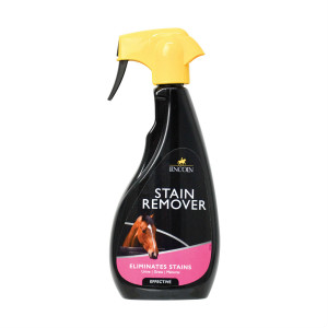 stain remover in a spray bottle