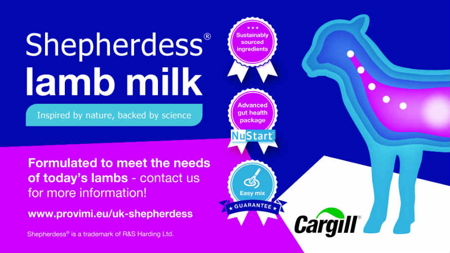 Shepherdess Lamb Milk Gibb of Galston Animal Feeds